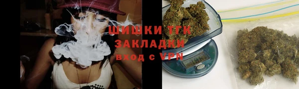 тгк Орск