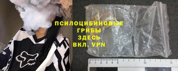 сатива Тайга