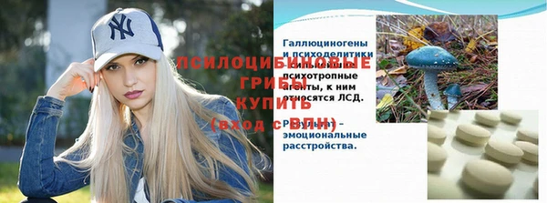 дмт Тавда