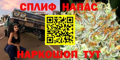 спиды Абакан