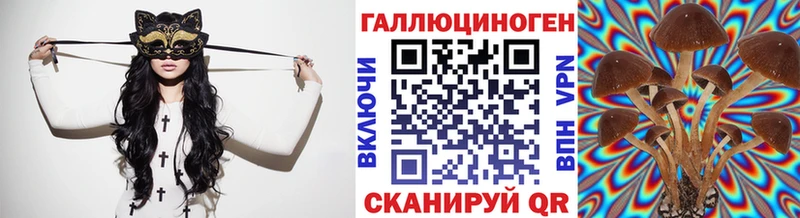 Псилоцибиновые грибы мицелий  Аша 