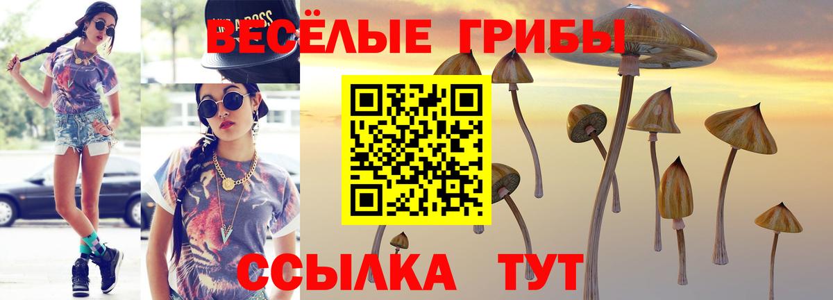 Аша  Галлюциногенные грибы мицелий  Вход с VPN 
