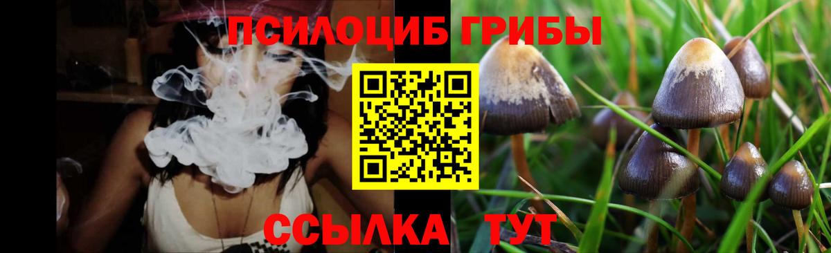 Галлюциногенные грибы Psilocybine cubensis Аша